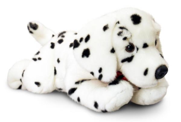 Dalmation